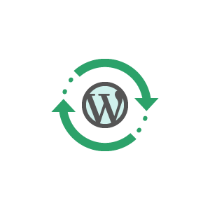 Automatic WordPress Core Updates