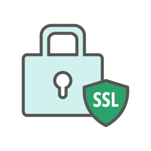 Free SSL Certificate (HTTPS)