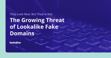 The Growing Threat of Lookalike Fake Domains