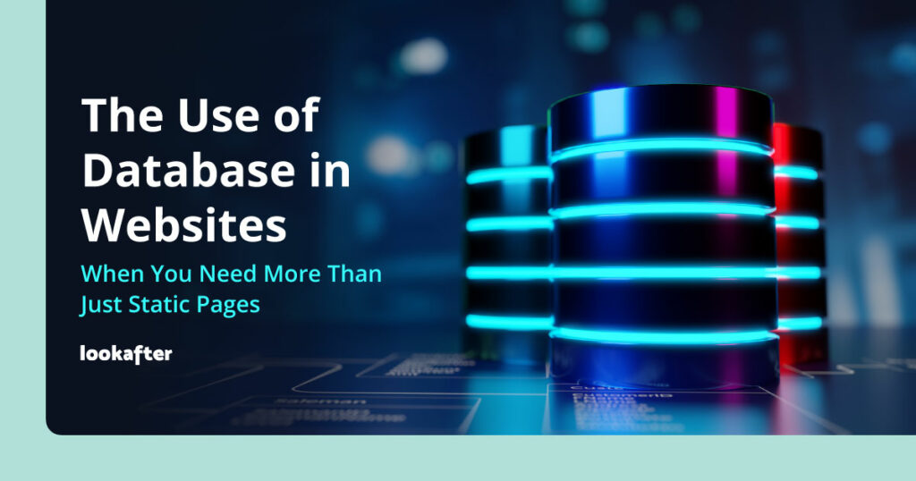 The Use of a Database in Websites