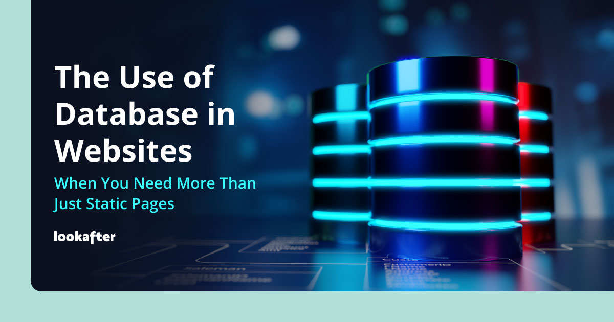 Databases Look The Use of a Database in Websites
