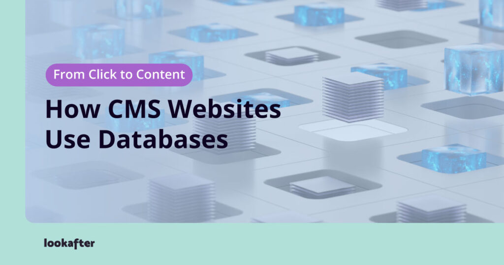 From Click to Content: How CMS Websites Use Databases