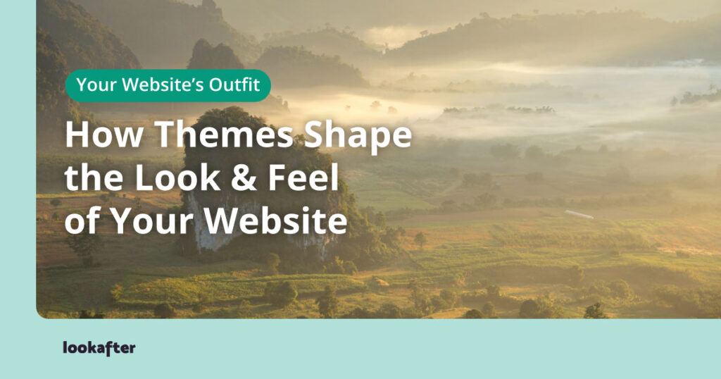 How Themes Shape the Look & Feel of Your Website